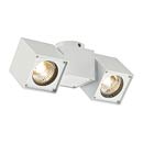 ALTRA DICE SPOT 2 светильник накладной для 2-x ламп GU10 по 50Вт макс., белый